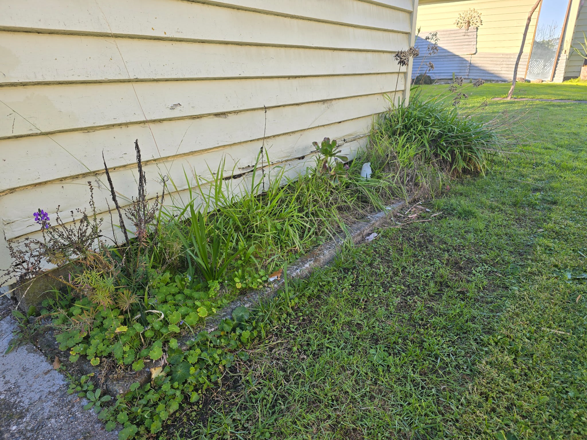 Before
