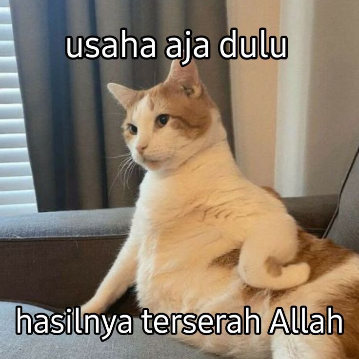 GACOR MAXWIN