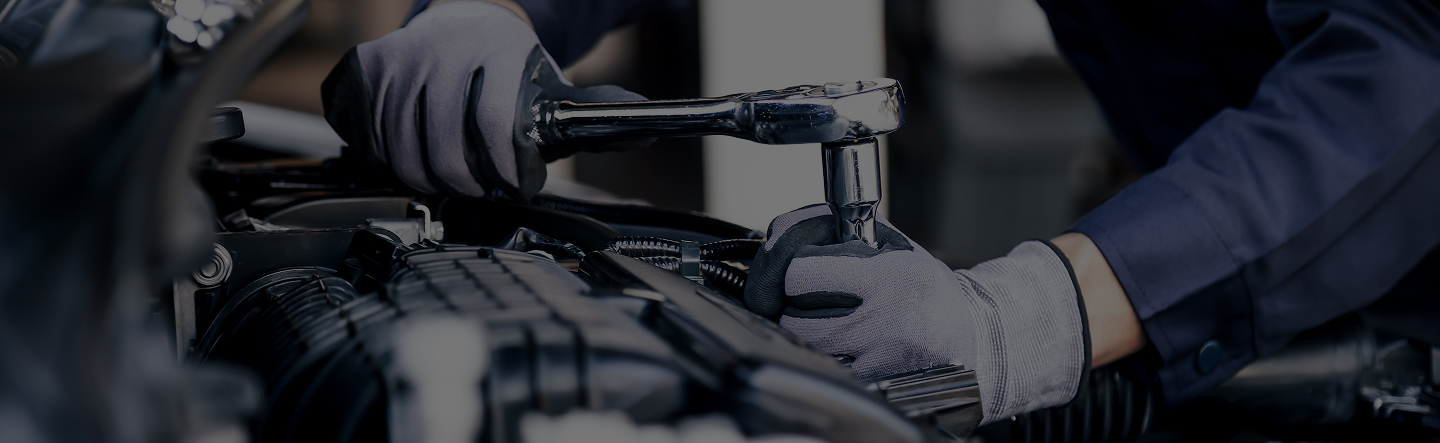 Servicio de postventa Indiana