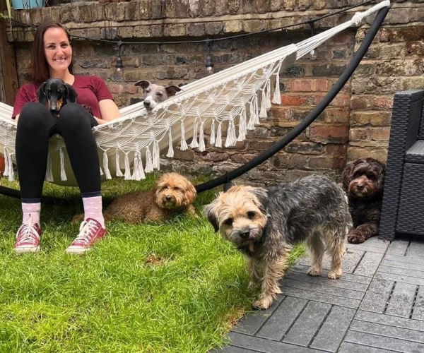 Terms and Conditions - Service guidelines