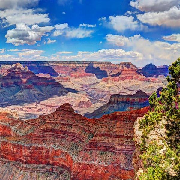 Grand Canyon Hotels >> Grand Canyon Hotels Grand Canyon Plaza Hotel Grand Canyon Hotels >> Grand Canyon Hotels Grand Canyon Plaza Hotel