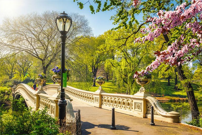 Central Park An Urban Sanctuary In The Center Of Nyc