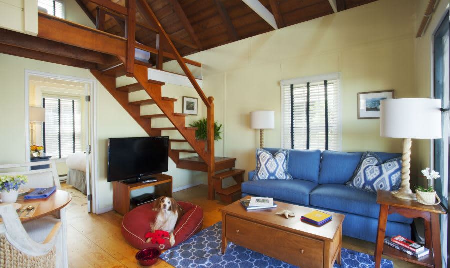 Stay At The Cottages At Nantucket Boat Basin With Your Pet