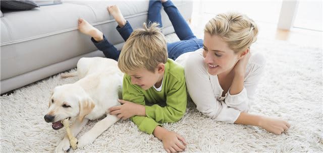 Pet Friendly Hotels In St Charles Il Pheasant Run