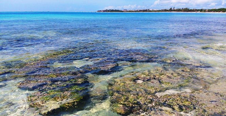 Punta Esmerelda Playa Del Carmens Hidden Beach And Cenote -