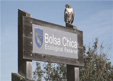 Bolsa Chica Ecological Reserve Nature Wildlife And