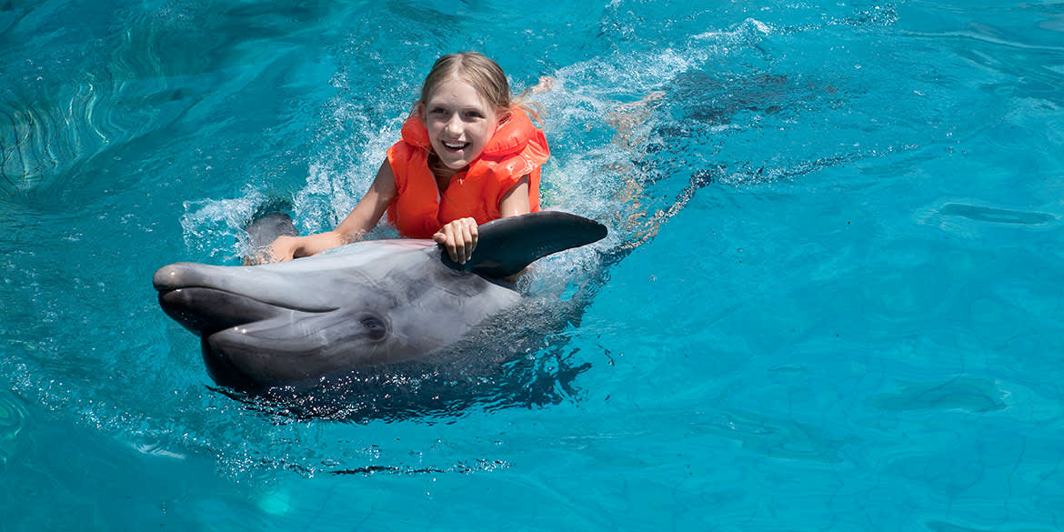Grand Velas Riviera Maya - Swim with Dolphins