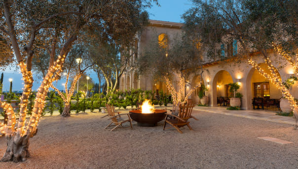 Olive Orchard at Paso Robles, California Hotel Olive Orchard at Paso Robles, California Hotel