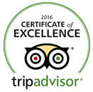 TripAdvisor TripAdvisor