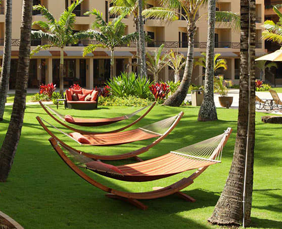 Management Services of Davidson Hotels & Resorts Management Services of Davidson Hotels & Resorts
