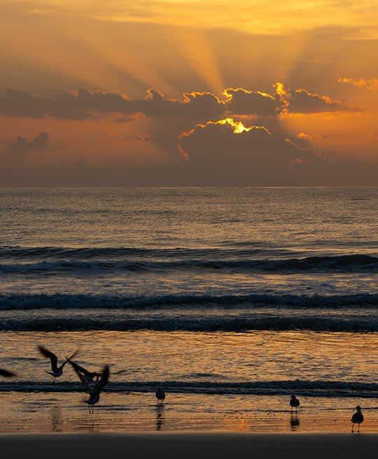 our-resort-daytona-beach-florida-hotel-faq