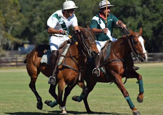 polo classic polo classic