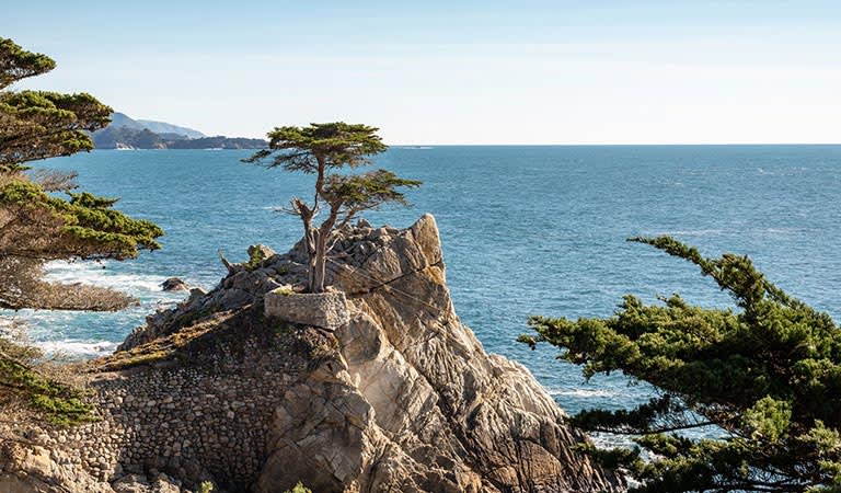 Monterey California 17-Mile Drive