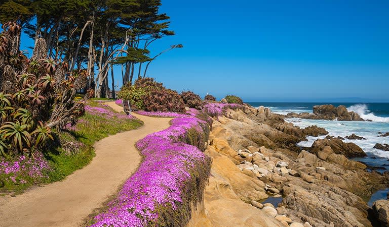 Monterey California Monterey Peninsula Recreation Trail