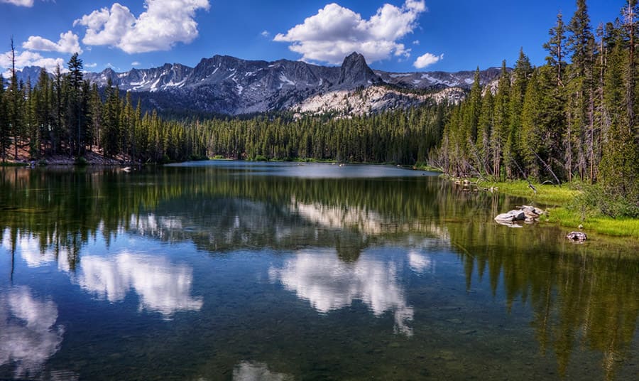 Fun Things to do in Mountain view this summer