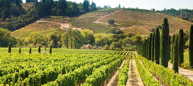 Stone House Vineyards of Texas