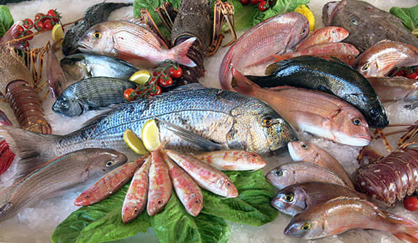 Oistins Fish Market, Christ Church Oistins Fish Market, Christ Church