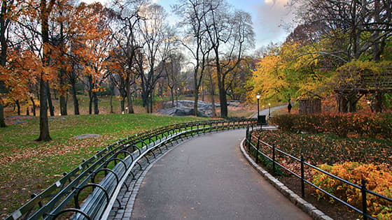 New York Hotel offers Upper West Side & Central Park Tour