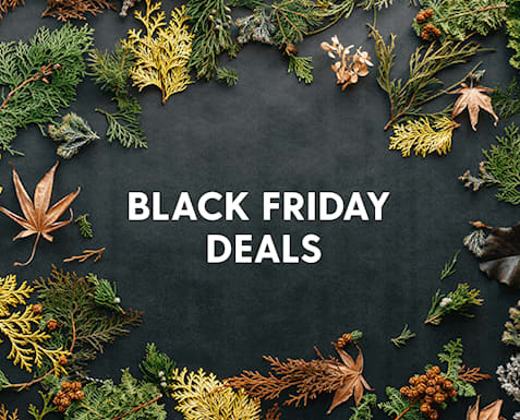 Palm Springs Hotel Deals - Black Friday Deal Palm Springs Hotel Deals - Black Friday Deal