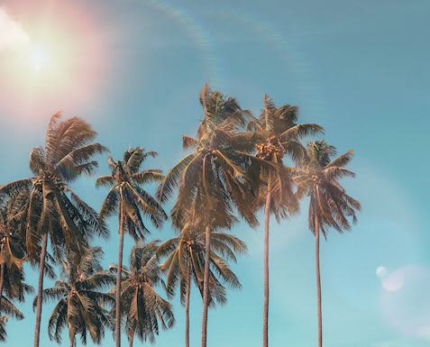 Palm Springs Hotel Deals - 3 Night Stay Rate Palm Springs Hotel Deals - 3 Night Stay Rate