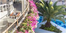 Mar del Cabo - Jardin Encanto Mar del Cabo - Jardin Encanto