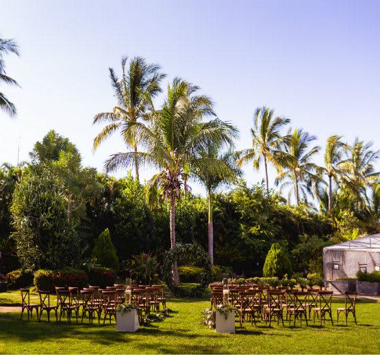 Casa Velas Botanical Garden