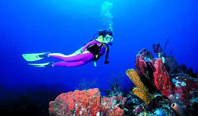 Florida Resort Scuba Diving and Snorkeling