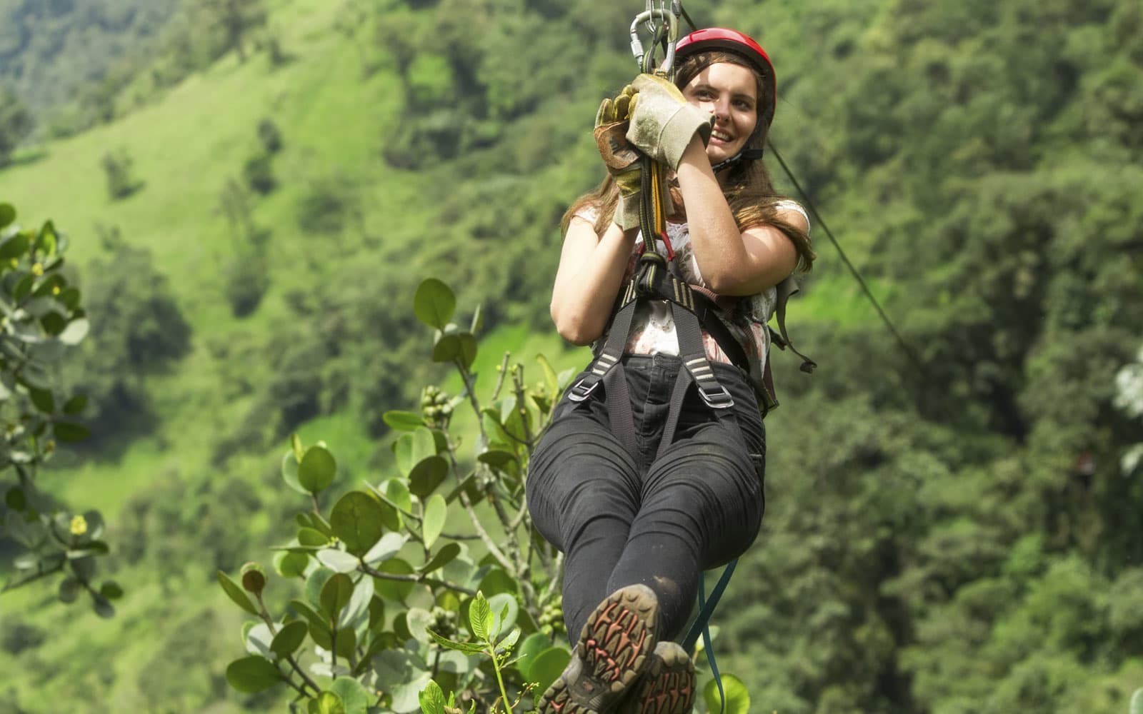 Margarita Adventures Zip Line Tours & Wine Tasting