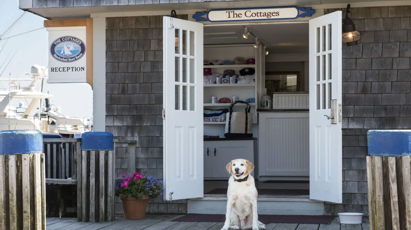 Petfriendly Hotel In Nantucket The Cottages & Lofts at the Boat Basin