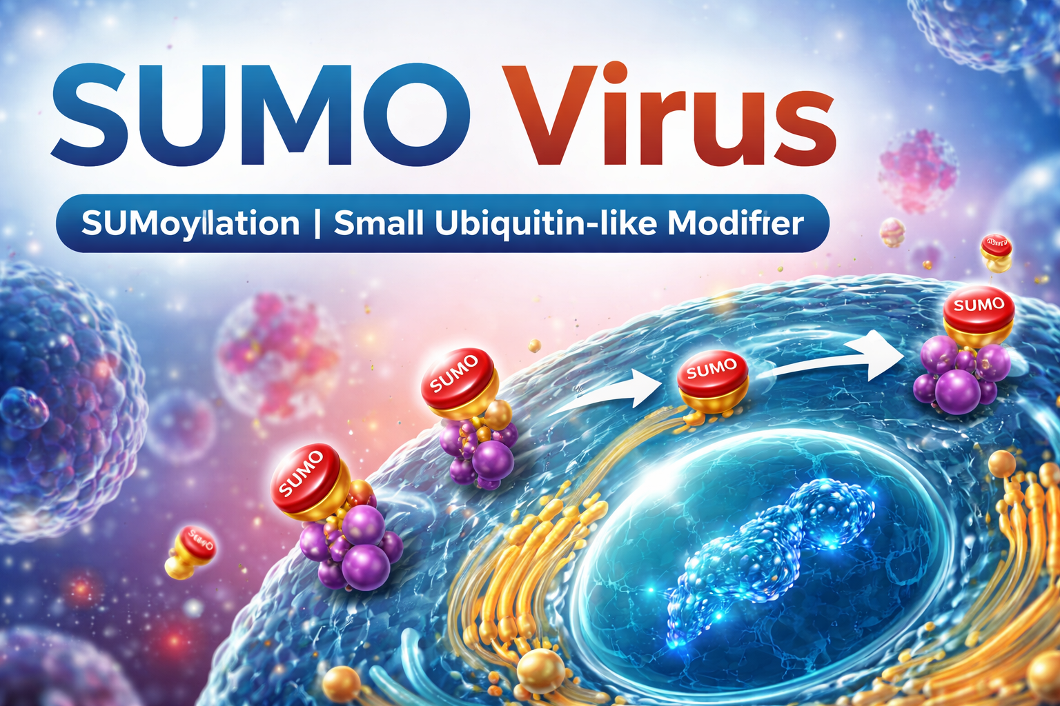 SUMO Virus Explained: Meaning, Biological Role, Viral Connections, and Medical Importance