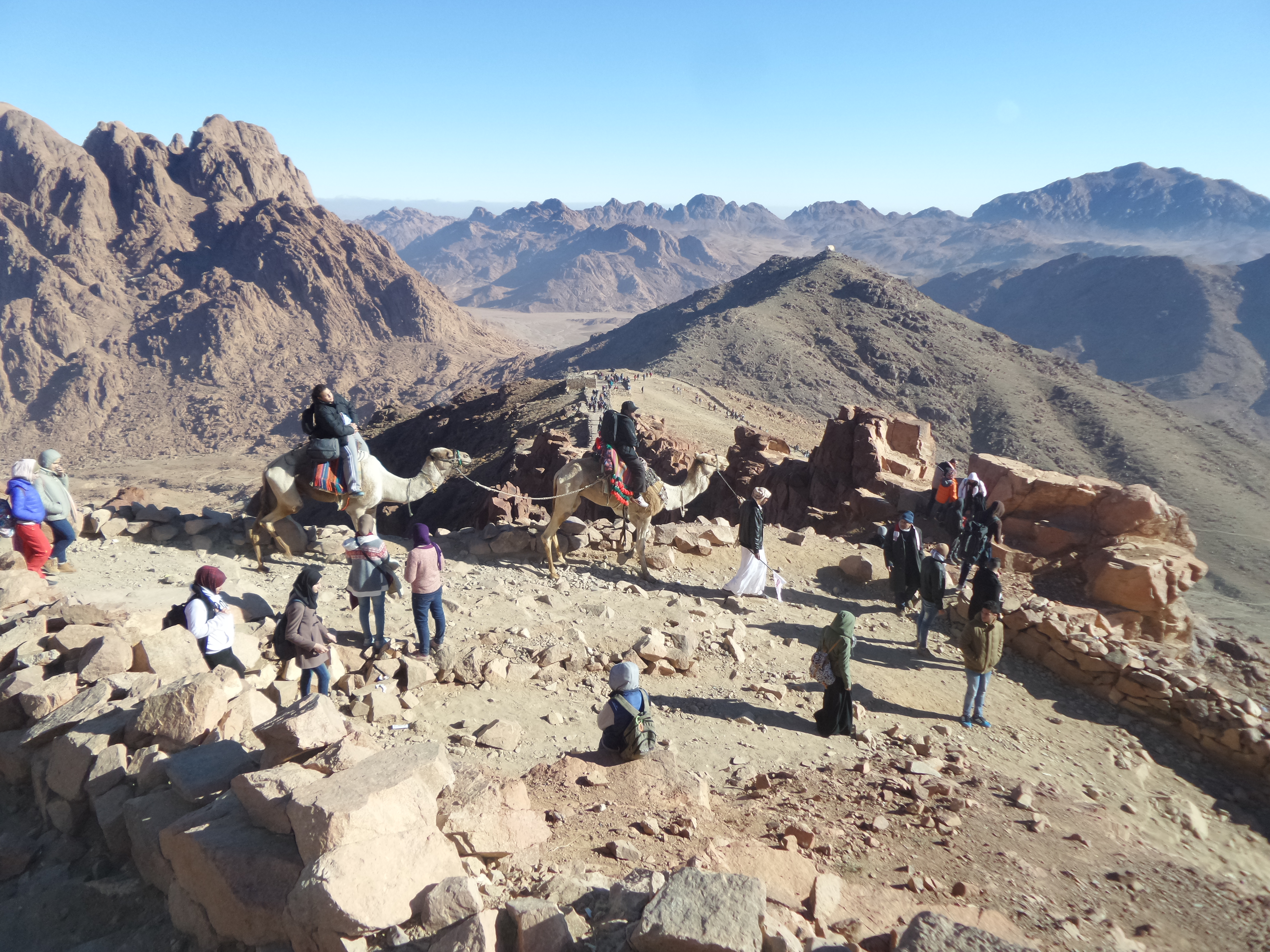 Saint Catherine 2
