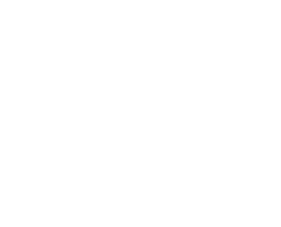 Vegan