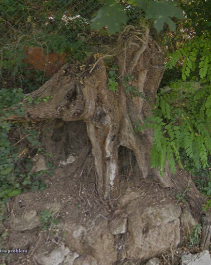 Find this other 'scene' - Answer | Google Earth Community Forums