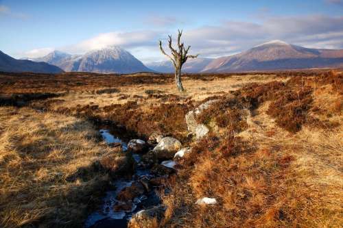 Giblin breaks West Highland Way record - Scottish Athletics