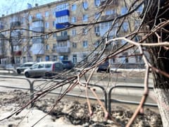 Слишком тепло: Вильфанд сообщил о мартовской аномалии в стране