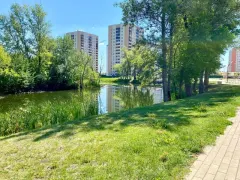 Правительство РФ: работа по улучшению качества городской среды в регионах продолжится