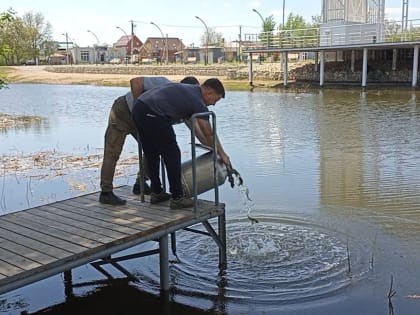 Ладное и Крымское зарыбили