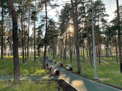 В Эко-парке Шлюзовой высадят 2500 новых сосен