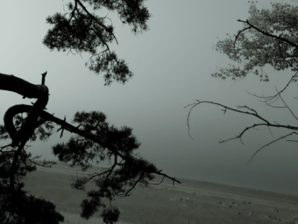 Самарскую область накрывает мощный антициклон: прощаться с зимой еще рано