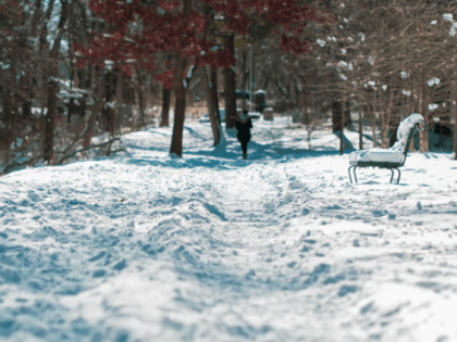 Народные приметы на 11 февраля: зачем нужно шлепнуть мужа доской и как запросто разбогатеть в этот день