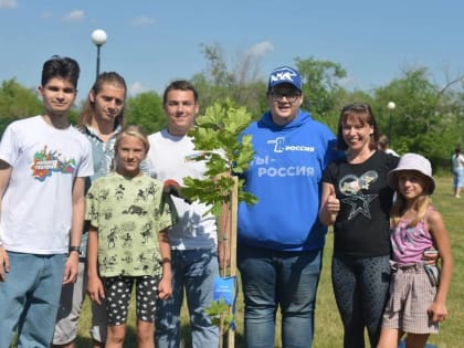 В Новокуйбышевске единороссы посадили аллею из 35 молодых кленов