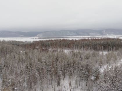 В Самарской области из-за сильного ветра и гололеда объявили «желтый уровень» опасности