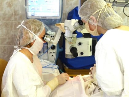 Самарские врачи вытащили 10-сантиметровую ветку из черепа мужчины