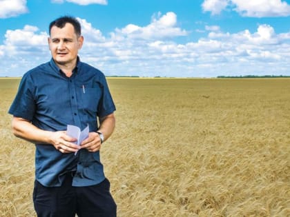 Развитие сельского хозяйства в Кинельском районе