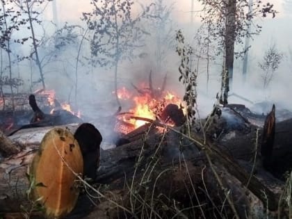 В Тольятти вводится особый противопожарный режим