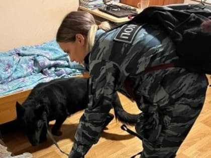 В рамках операции «Дети России-2023» полицейские с собаками пришли в общежития