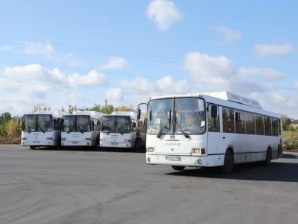 Из Самары до Южного города планируют пустить дополнительные автобусы&nbsp;