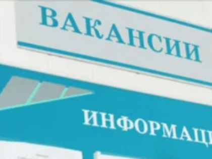 В Самарской области число открытых вакансий в 3 раза превышает число безработных