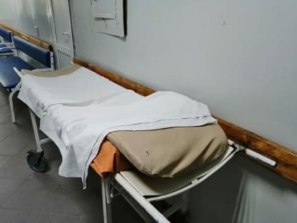 Людей в Самарской области атакует болезнь, способная ослепить и свести с ума