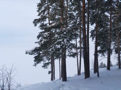 В Самарской области после снегопадов понизится температура